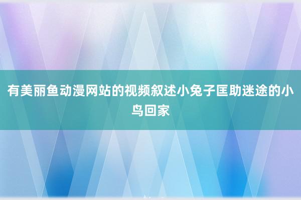 有美丽鱼动漫网站的视频叙述小兔子匡助迷途的小鸟回家
